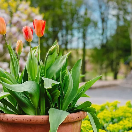 Corn Stook - 16867 * Sawdon