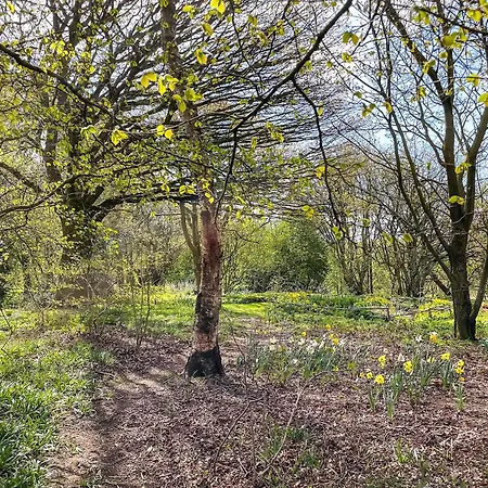 Corn Stook - 16867 Hébergement de vacances Sawdon