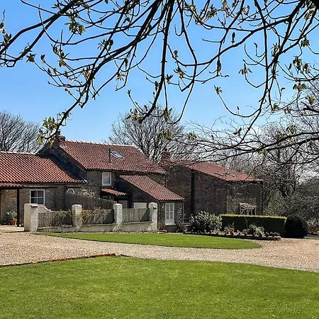 Corn Stook - 16867 Sawdon