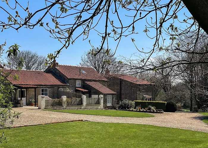 Corn Stook - 16867 *