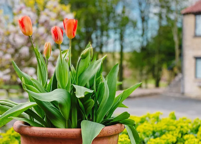 Corn Stook - 16867 Sawdon